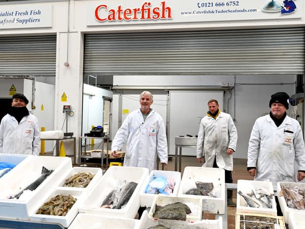 Caterfish & Tudor Seafoods